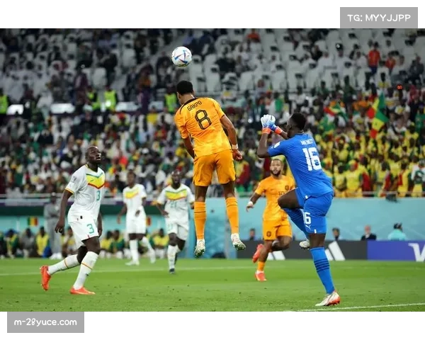 荷兰队防守反击见效 加克波速度利用充分